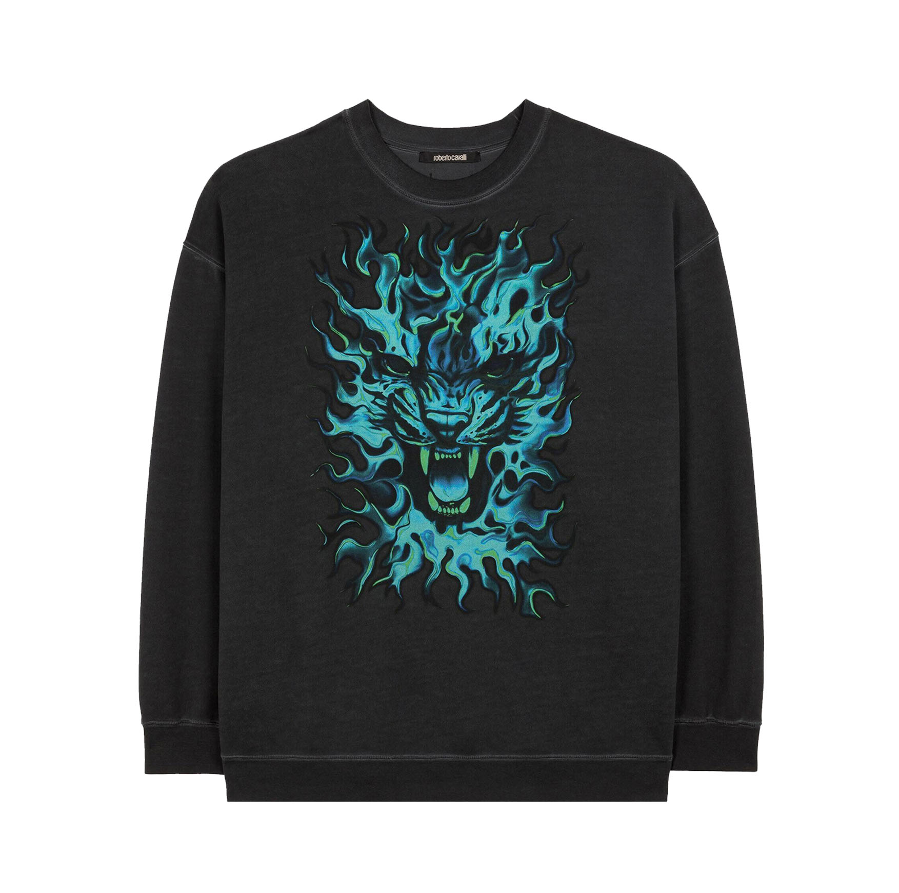 FLAME LION-PRINT SWEATSHIRT